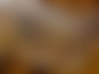 Rasakan Kehangatan Lokal Berstandar Internasional di SenS Hotel & Spa Ubud