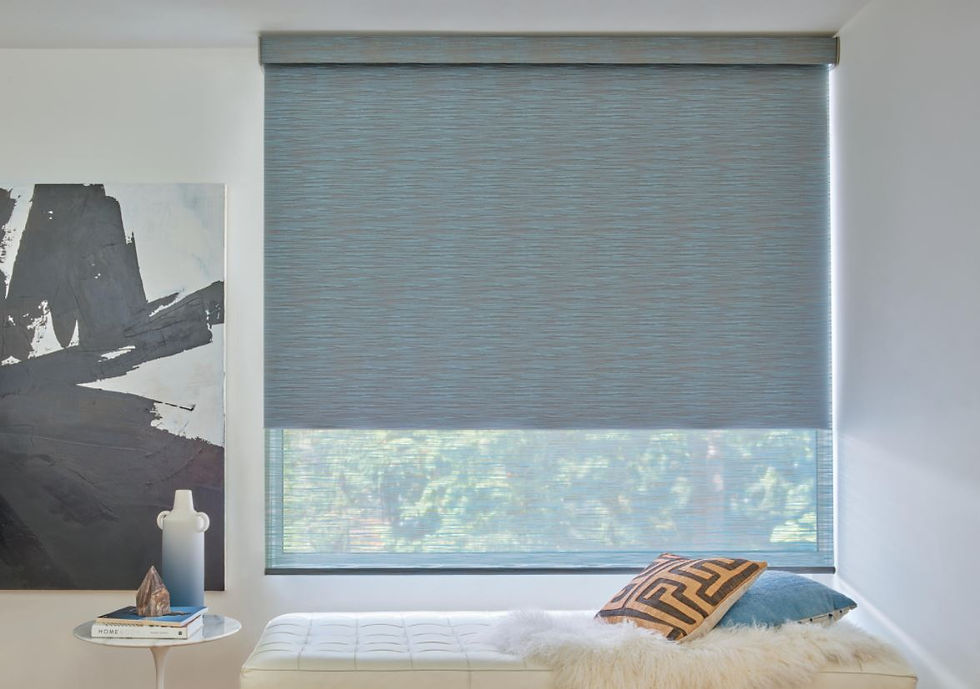 Interior-Shade-2