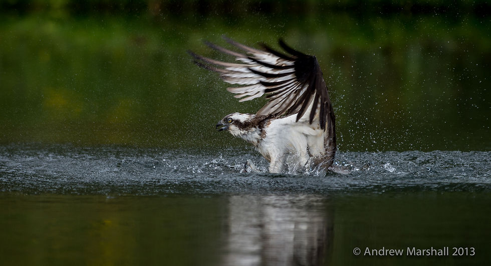 Splashdown
