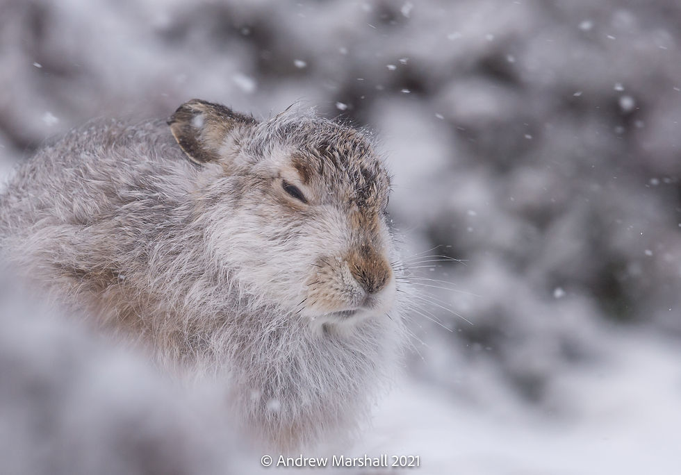 Winter is coming!