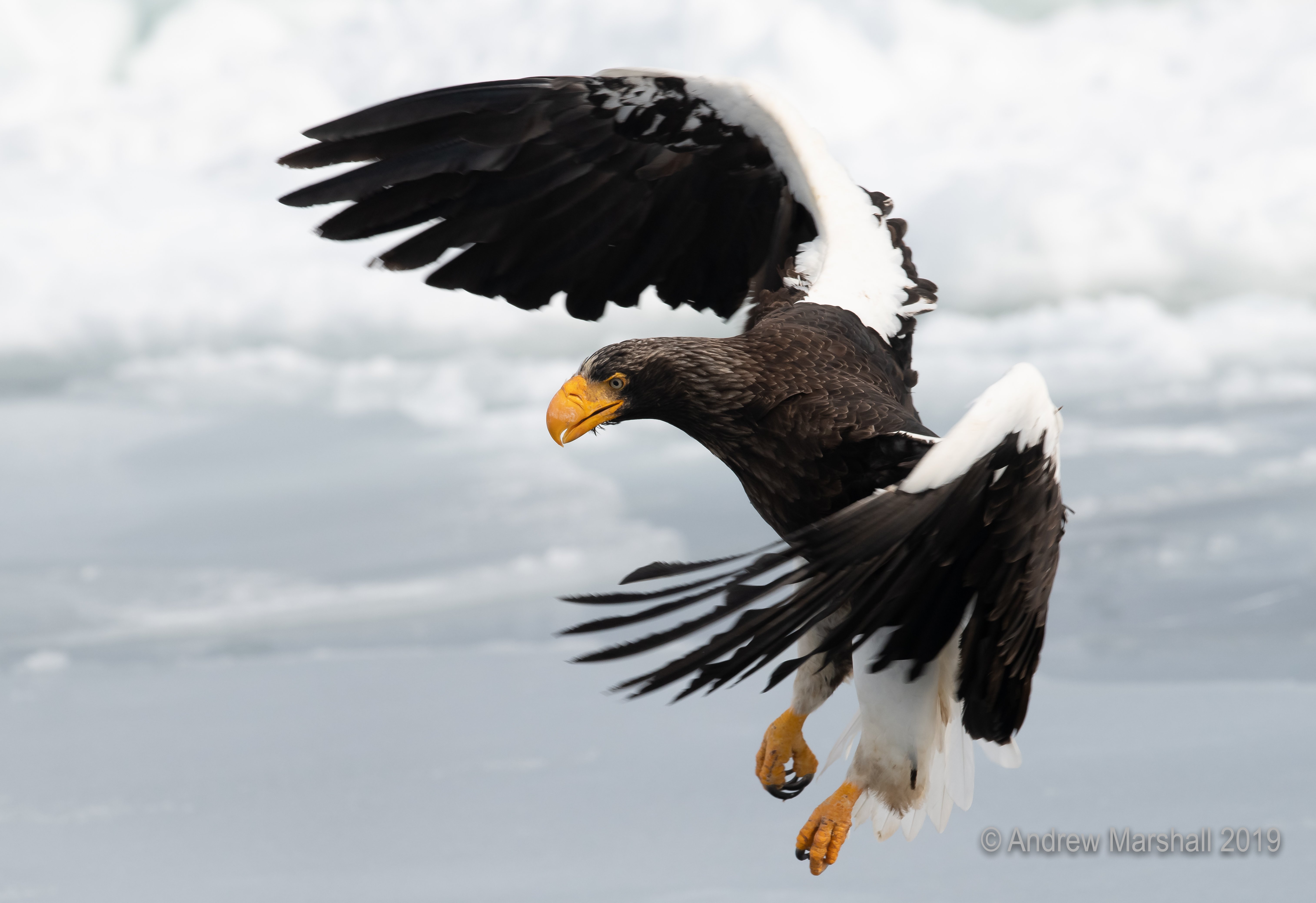 Landing