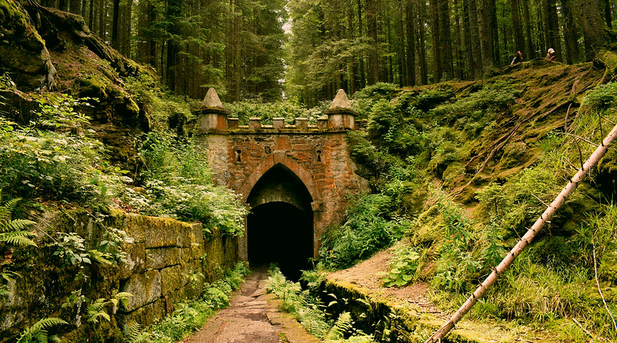 gray concrete tunnel under green trees_e