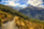 NEW ZEALAND