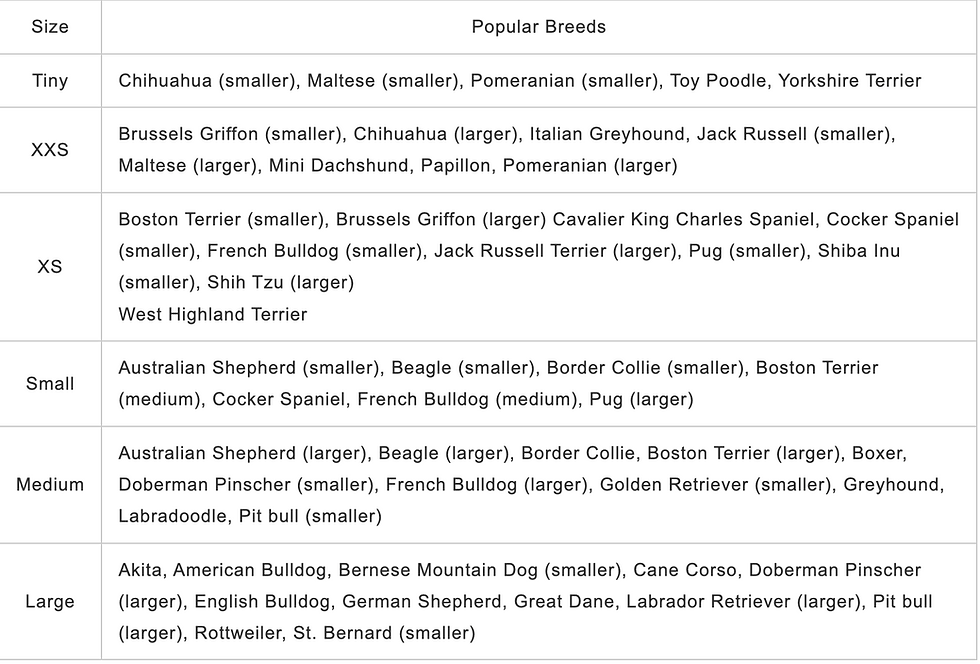 Thumbnail: Cape May Trucker Hat