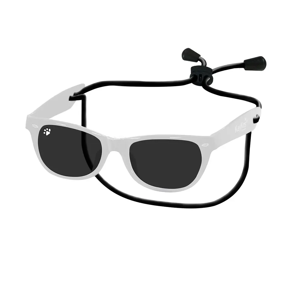 Thumbnail: Dog Sunglasses