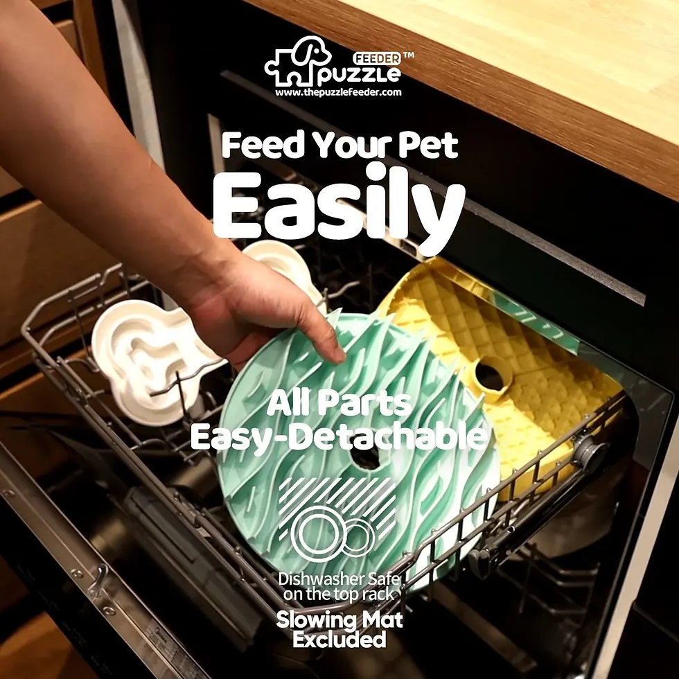 Thumbnail: Large Slow Feeder Puzzle