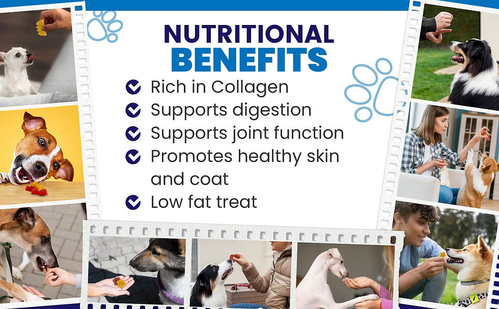 Thumbnail: Jelly Shots Mix & Molds