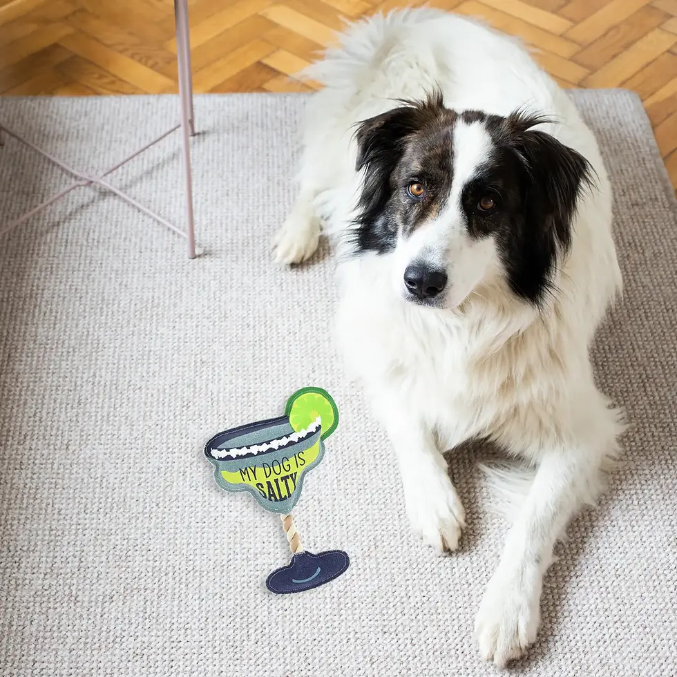 Thumbnail: My Dog Is Salty Canvas Toy