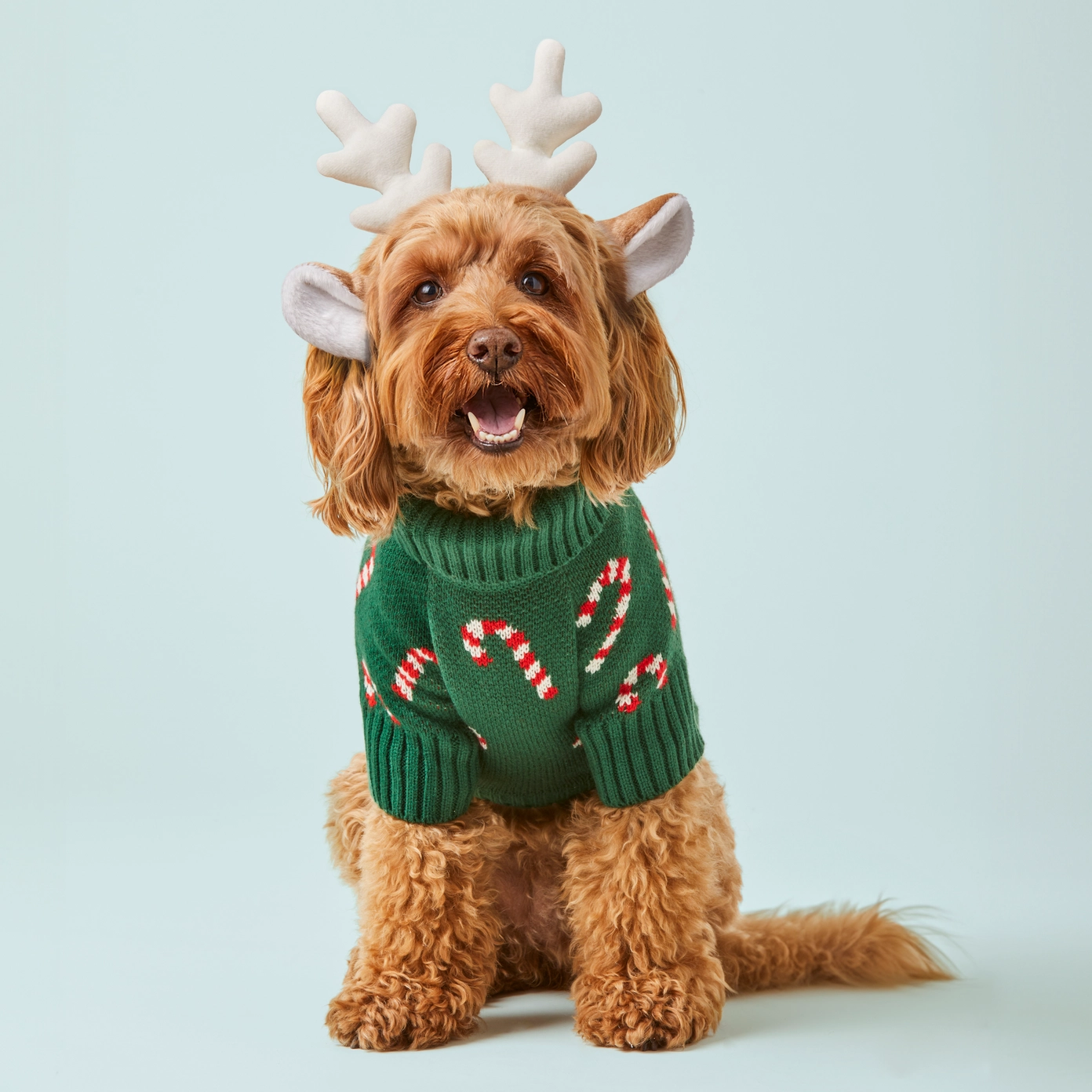 Thumbnail: Candy Cane Sweater