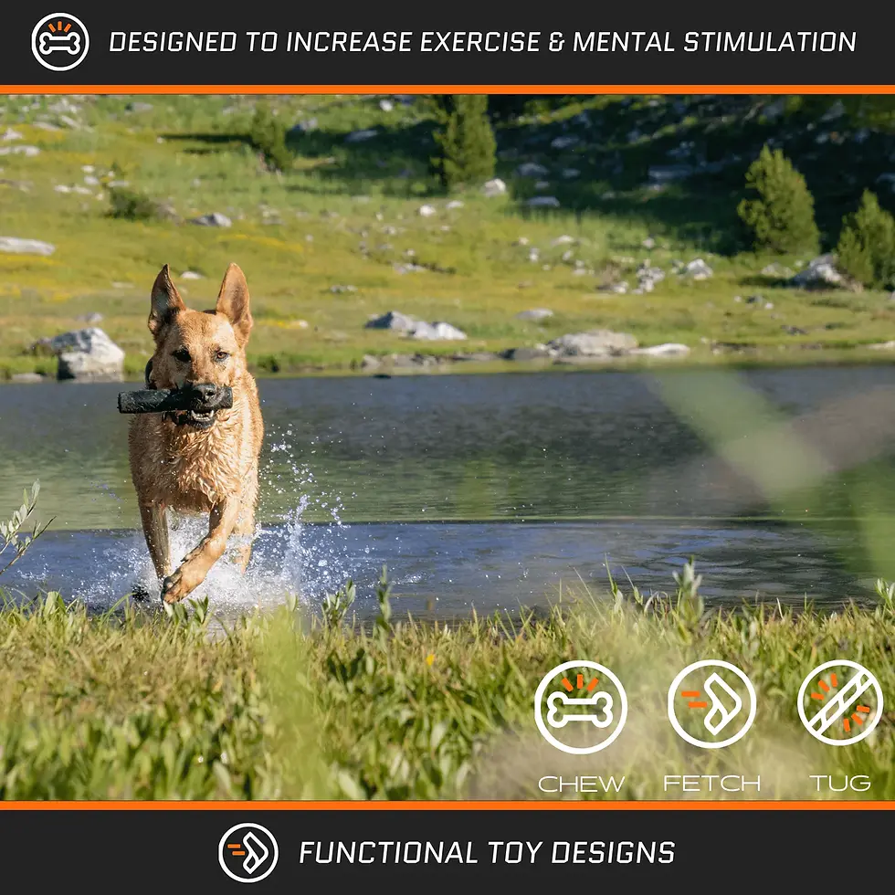 Thumbnail: Ultra Durable Chew Stick