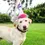 Thumbnail: Party Hat with Snugfit