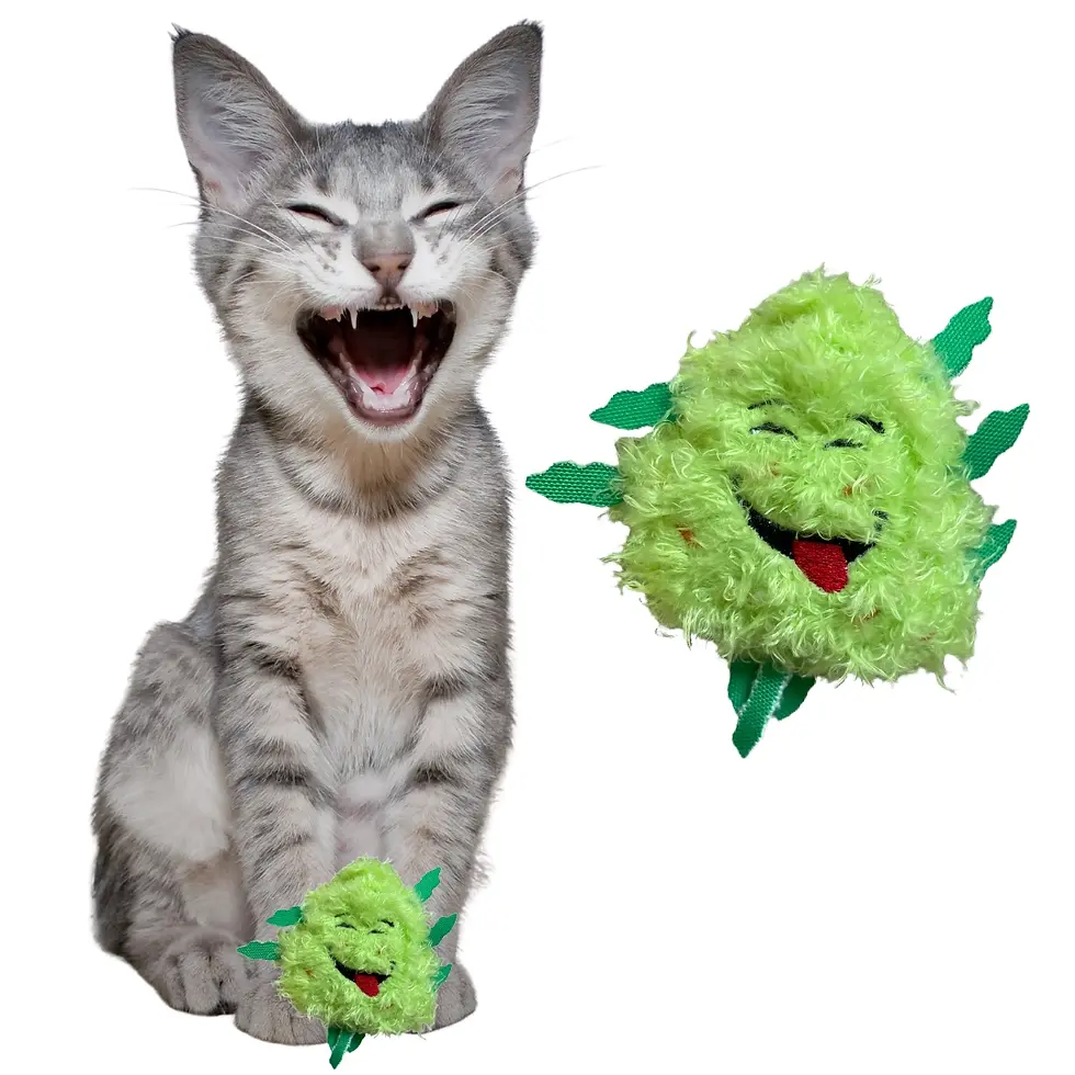 Thumbnail: Bud the Nug Jr.