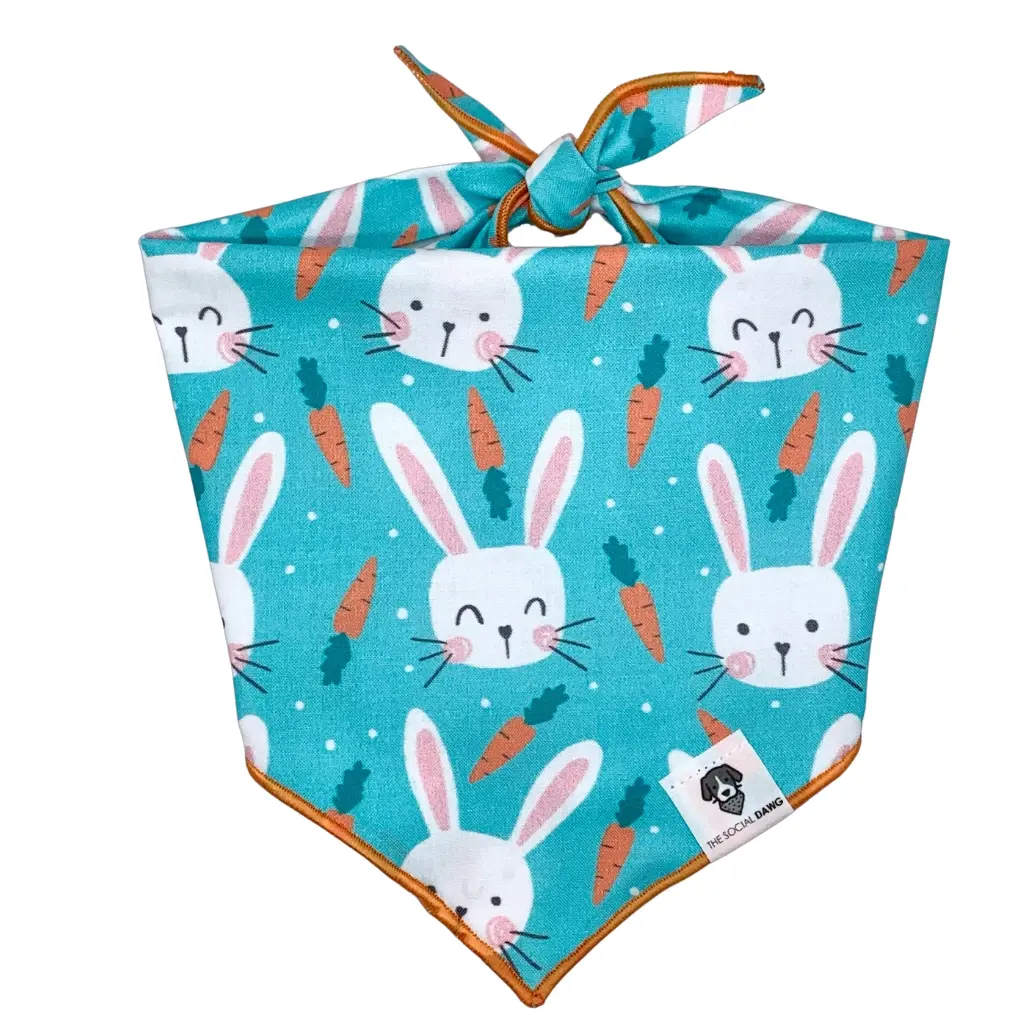 Blue Bunny Bandana