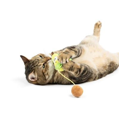 Thumbnail: Avocado Popper