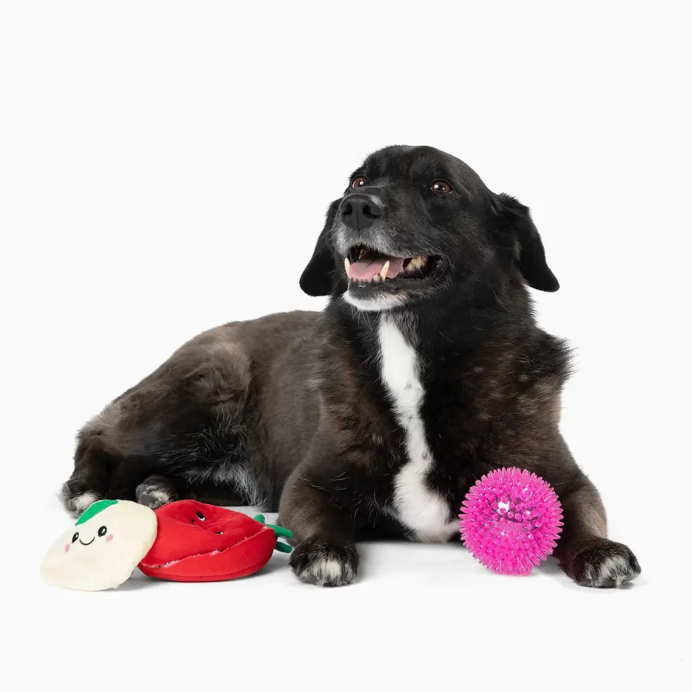 Thumbnail: 3 Toys in 1 Tomato/Mozzarella/Ball