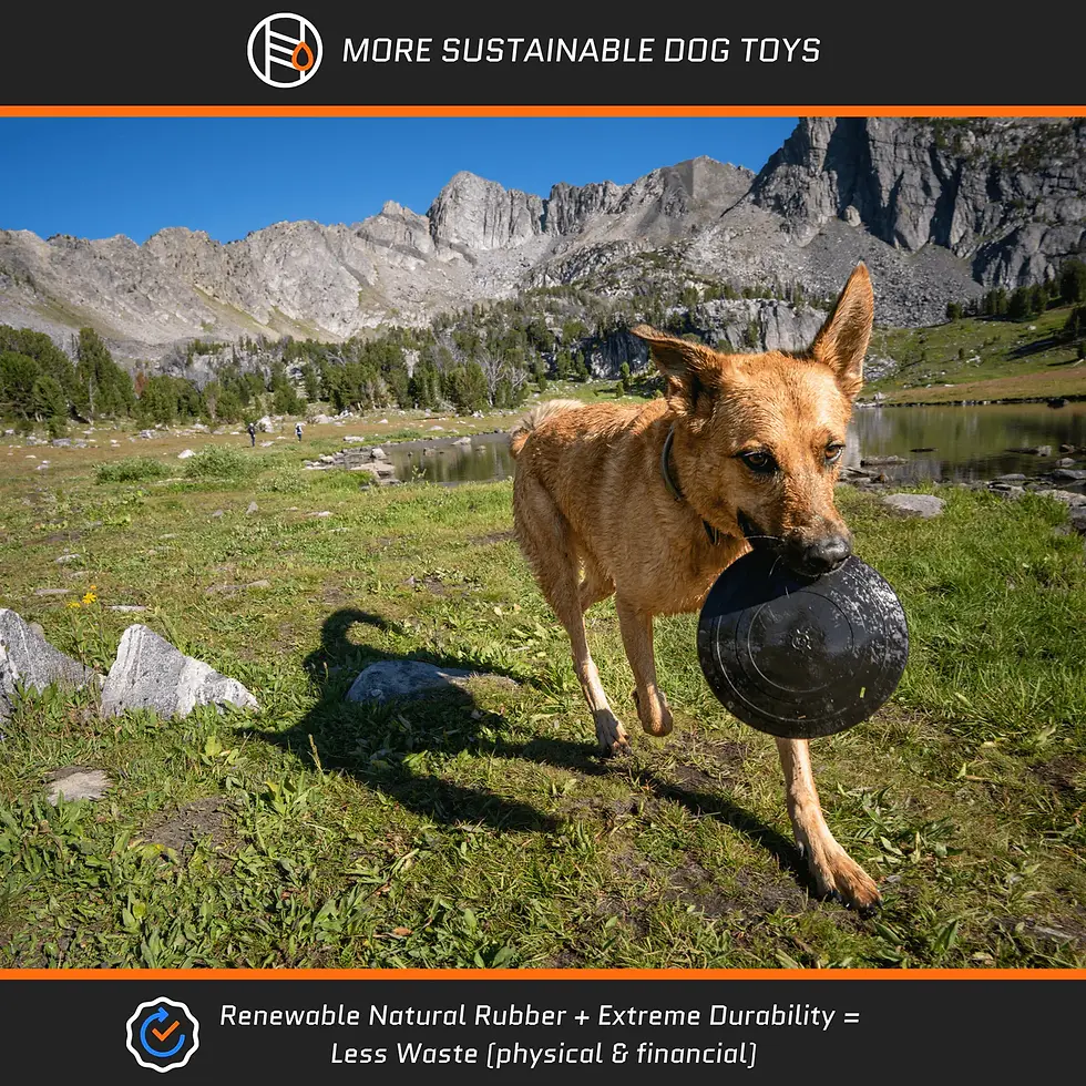 Thumbnail: Ultra Durable Disc Frisbee