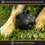 Thumbnail: Ultra Durable Treat Ball