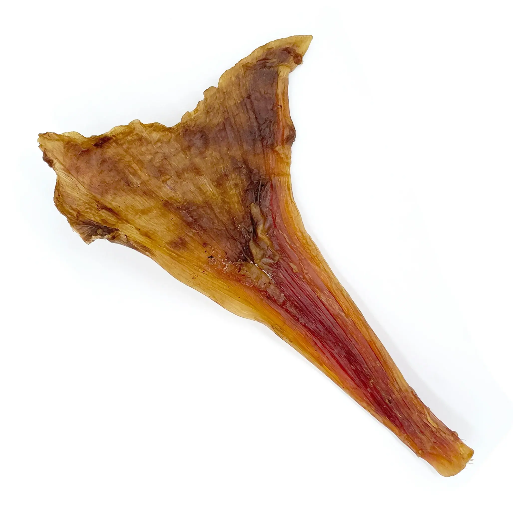 Ostrich Tendon