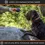 Thumbnail: Ultra Durable Treat Ball