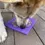 Thumbnail: Enrichment Licking Mat