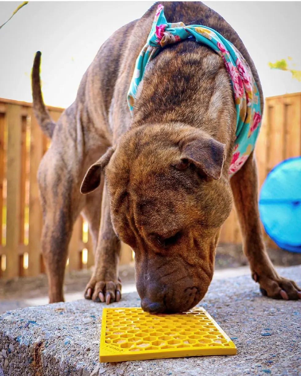 Thumbnail: Small Enrichment Licking Mat