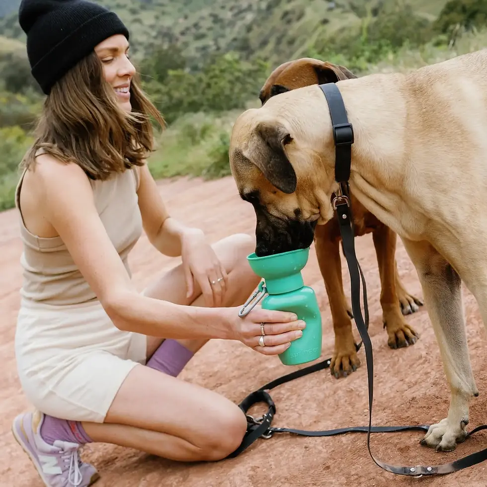 Thumbnail: Travel Water Bottle With Flip Top