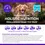 Thumbnail: Evolutions Advanced Allergy Support Chews
