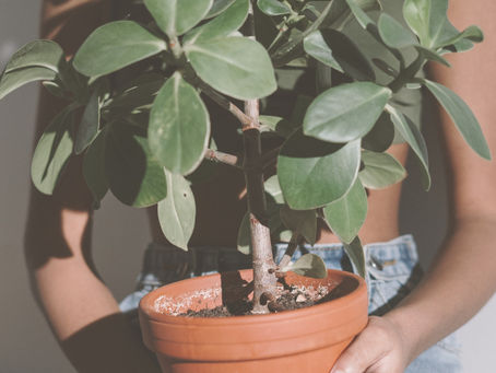 What in the World is EMDR Therapy? Pt. 1