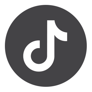 design-partner-fuer-konzerne-tiktok-icon.png