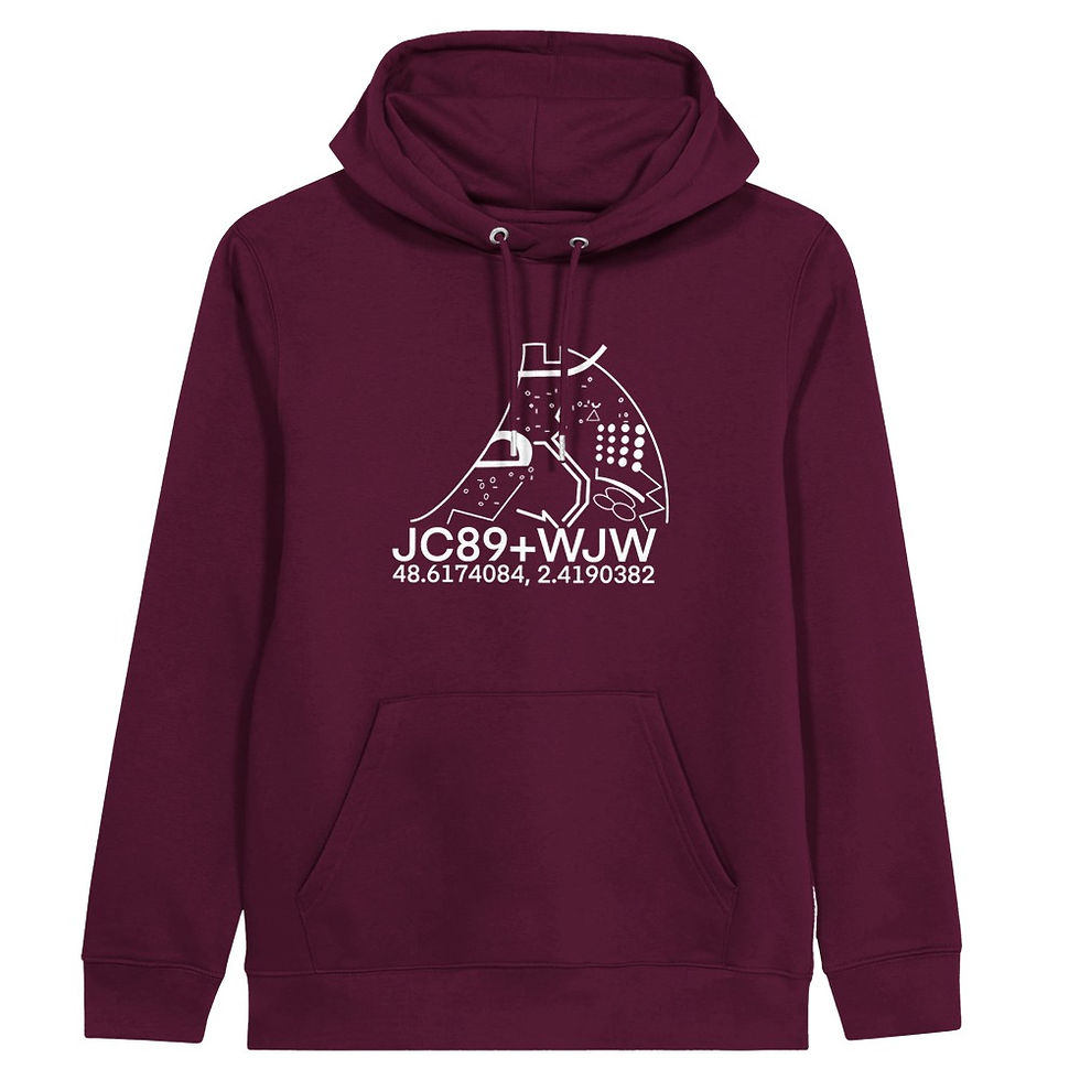 Miniaturbild: Unisex Bio -Hoodie | Dame du Lac