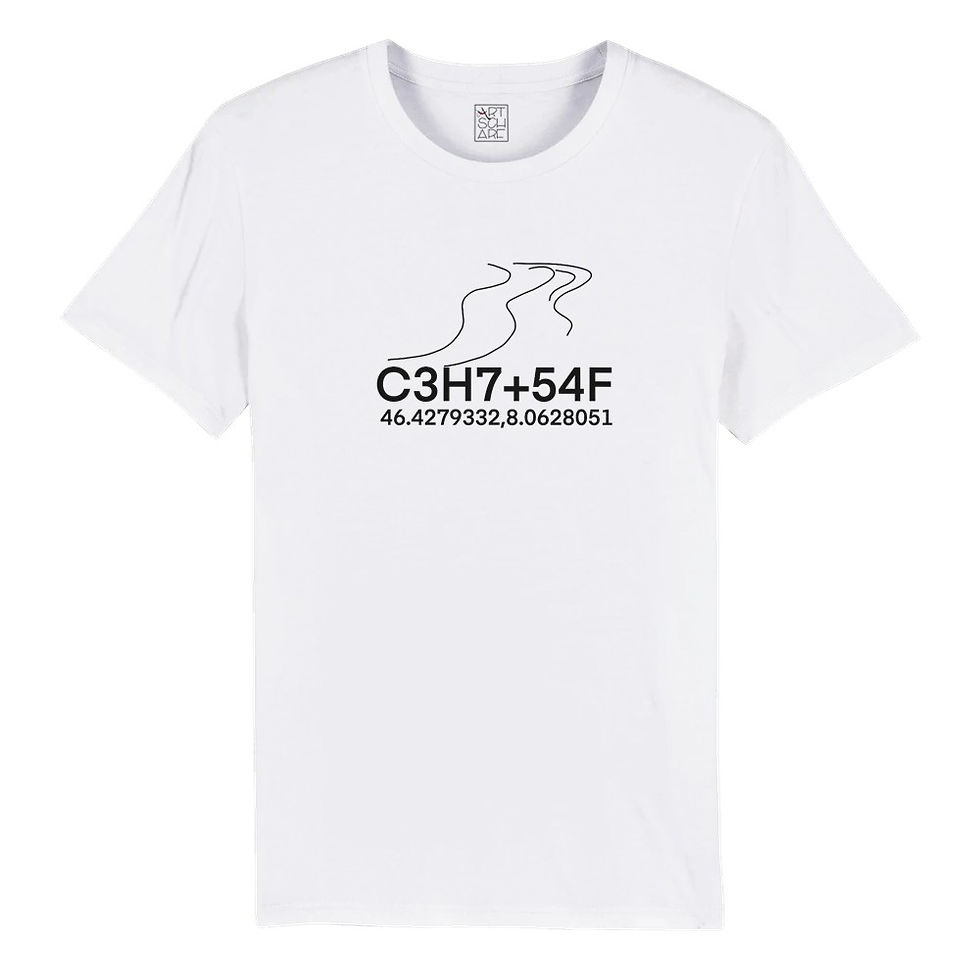 Miniaturbild: t-shirt mit Koordinaten und dezenter zeichnung vom Aletschgletscher