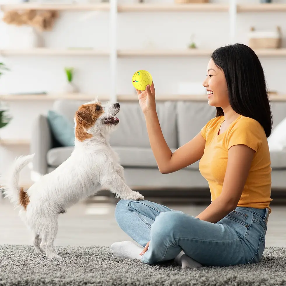 Miniatura: Seu Pet Destrói Tudo? Bola Inteligente Interativa que Alivia o Tédio e Estimula 