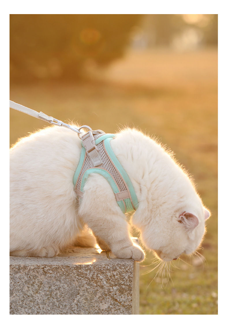 Miniatura: Seu Pet Puxa Muito? Peitoral Ajustável com Guia Refletiva para Cães e Gatos