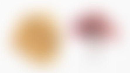 Retrain Your Brain…Is Irish Sea Moss Really a Superfood?