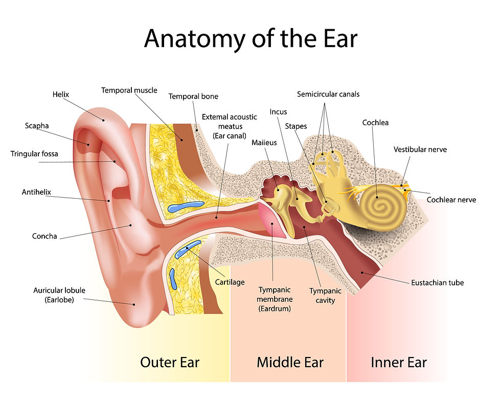 Microsuction Ear Wax Removal at MK Ear Wax Clinic