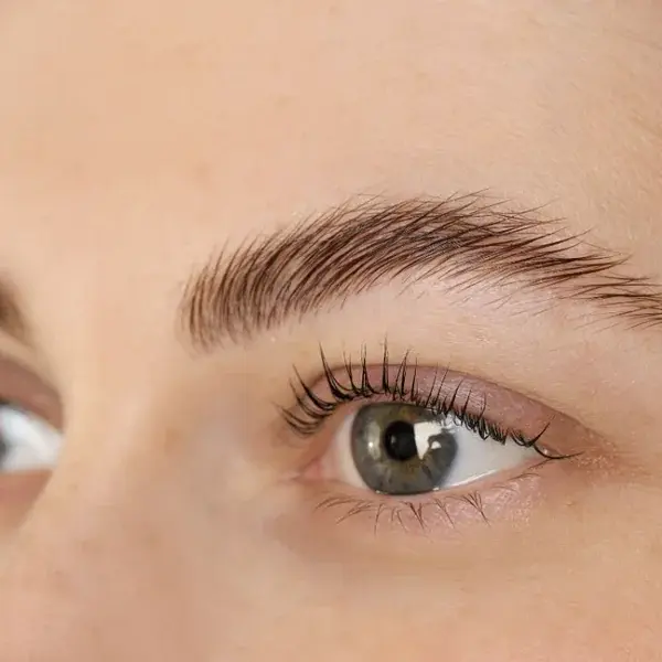 Nahaufnahme eines Auges mit Wimpernlifting und angehobenen Augenbrauen. lash brow lifting hamburg
