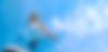 Captura de pantalla 2025-08-01 a la(s) 10.57.18 p. m..png
