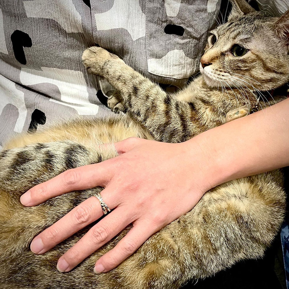 縮圖：18K 交錯鉚釘方鑽戒指