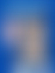 Programme du Samedi 17 Janvier à Vitrolles