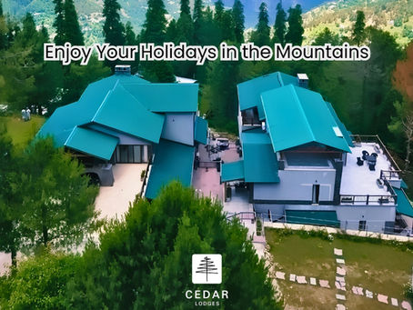 Enjoy Your Holidays in the Mountains: Create Lasting Family Memories at Cedar Lodges