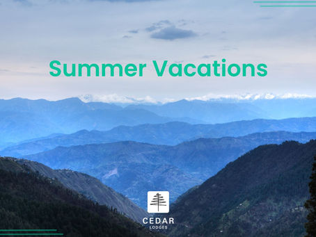 Summer Vacations: Make Your Holiday Memorable in the Mountains