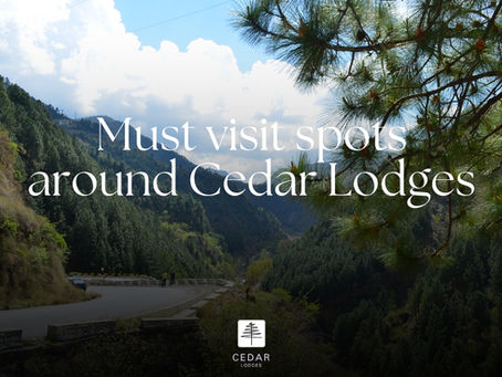 Explore the Hidden Gems Around Cedar Lodges: Your Ultimate Guide to Galiyat’s Must-Visit Spots