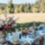 Picnic