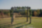 Arbor