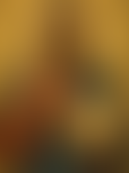 Kavramsız Bilgi ya da Tanrı’nın Zihni