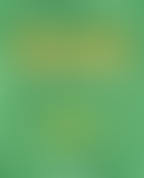 Anthony Giddens - Sosyoloji Eleştirel Bir Yaklaşım