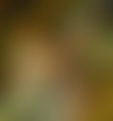 Aristoteles’in Sanat Anlayışı: Poetika