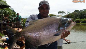 Clube de Pesca Lago Verde – Goiânia-Goiás