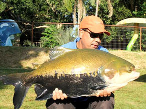 Nativos Pesca Esportiva – Campo Limpo de Goiás – GO