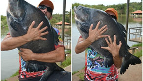 Clube de Pesca Lago Verde - Goiânia - GO